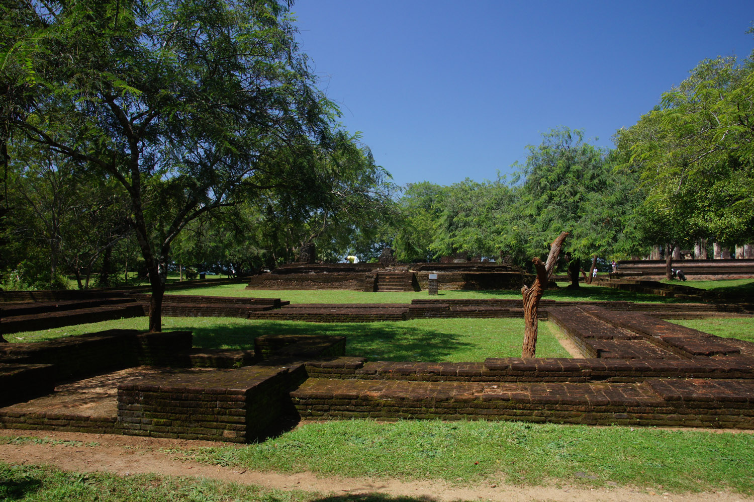DSC01509.JPG