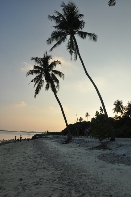 DSC_0264.JPG