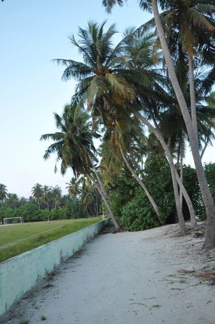 DSC_0280.JPG