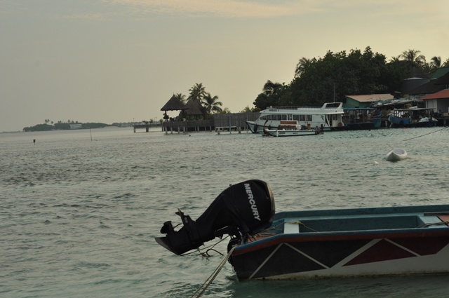 DSC_0387.JPG