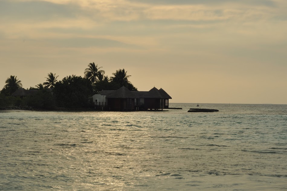 hura3.JPG