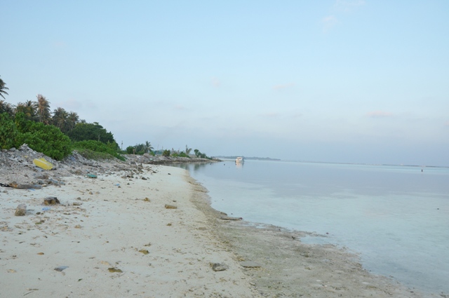 DSC_0268.JPG