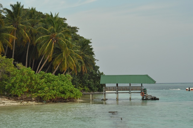DSC_0376.JPG