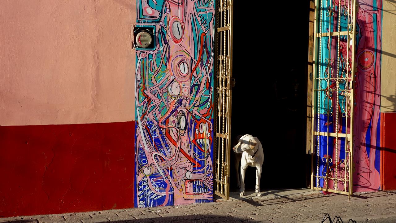 DSC04772.jpg
