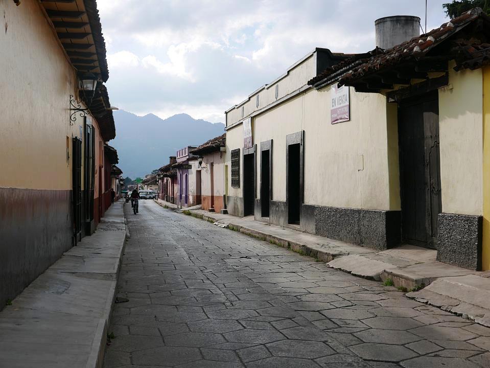 P1030286.jpg
