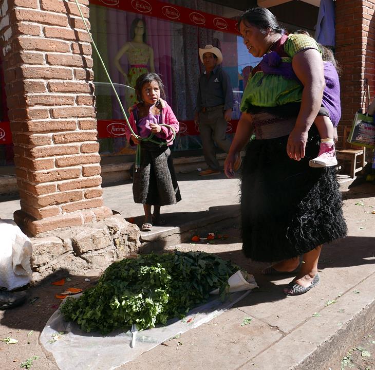 P1030315.jpg