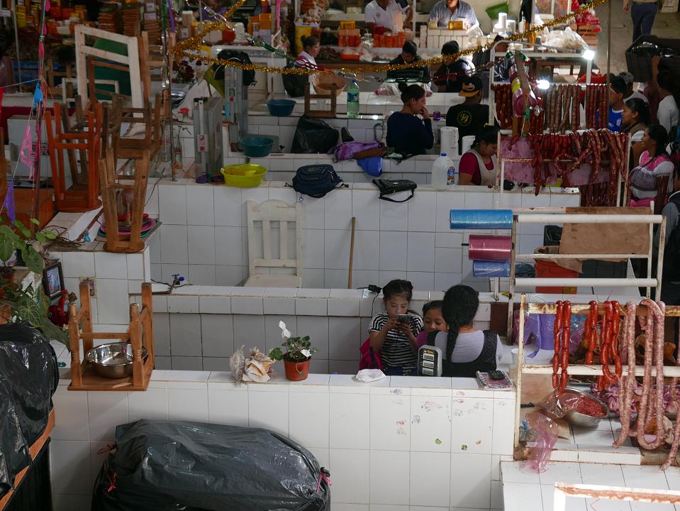 P1030372.jpg