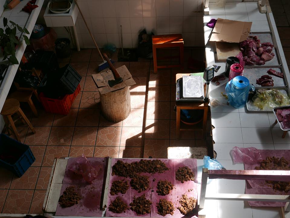 P1030373.jpg