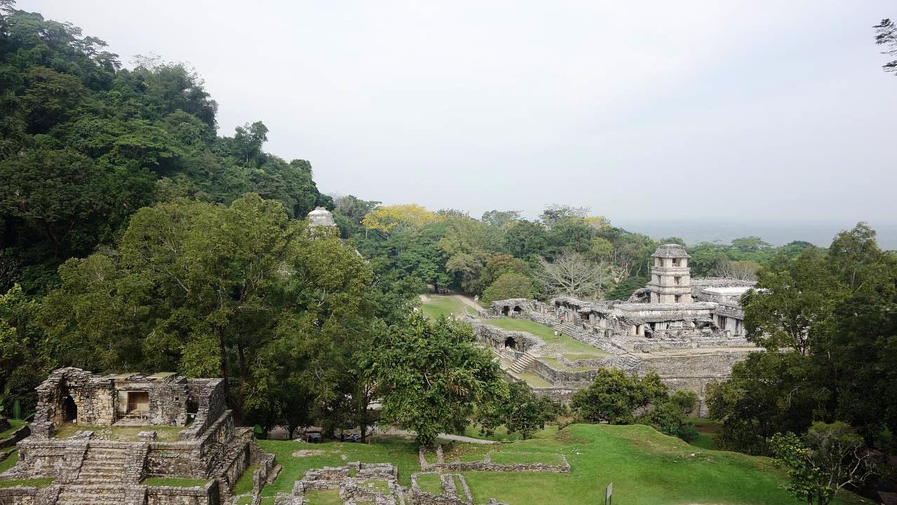 DSC04895.jpg