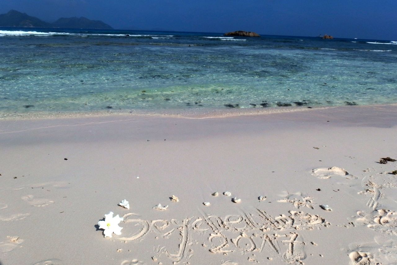 P2241166.jpg