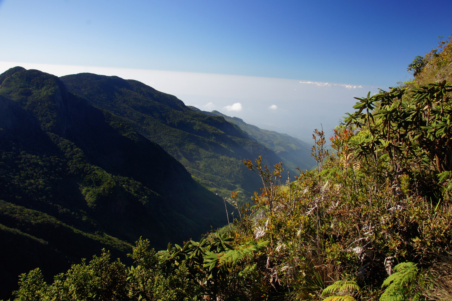 DSC02019.JPG