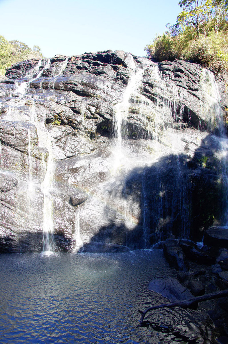 DSC02037.JPG