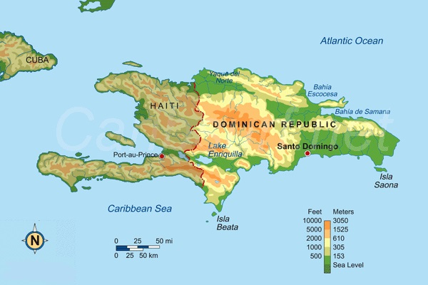 domrep-ele.jpg