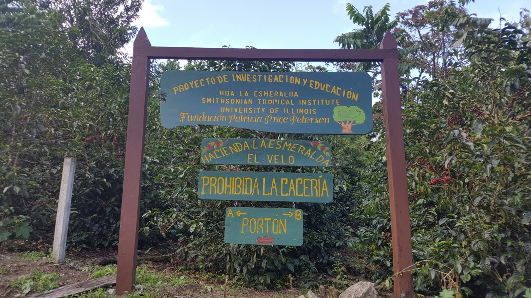 20170219_163347.jpg