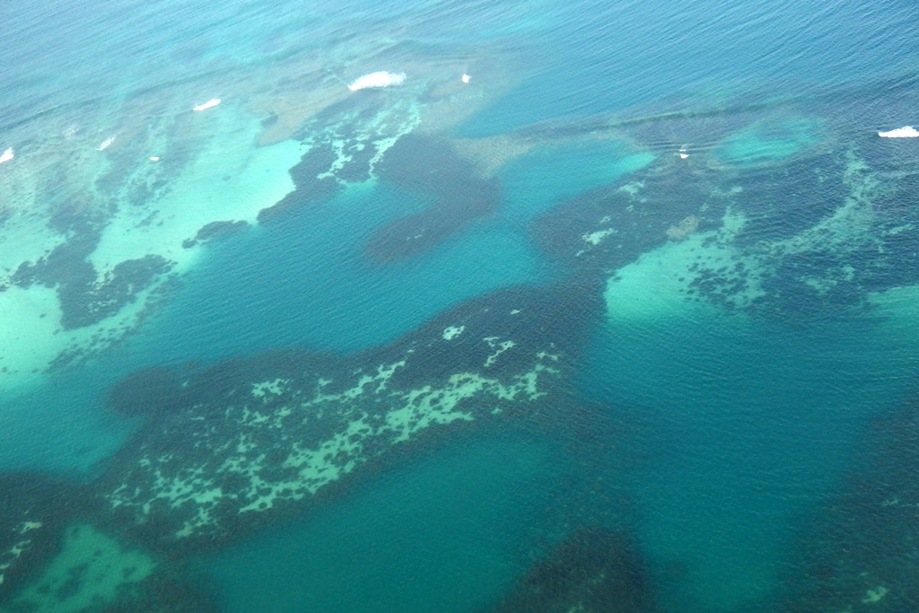 P2180363.JPG