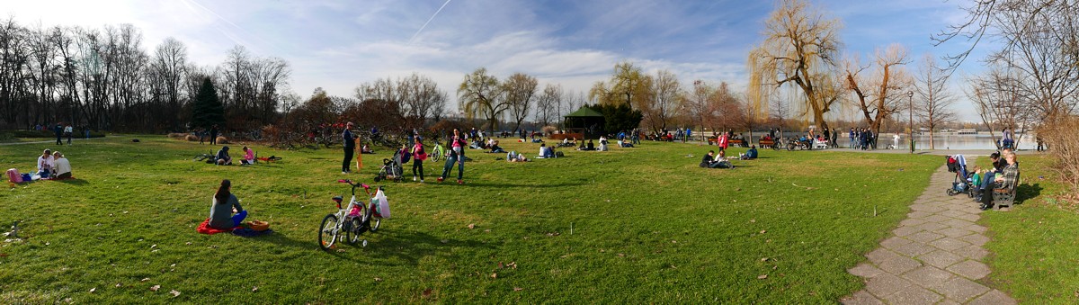 P1020556.JPG