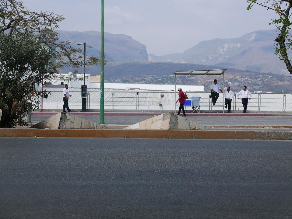 P1030884.jpg