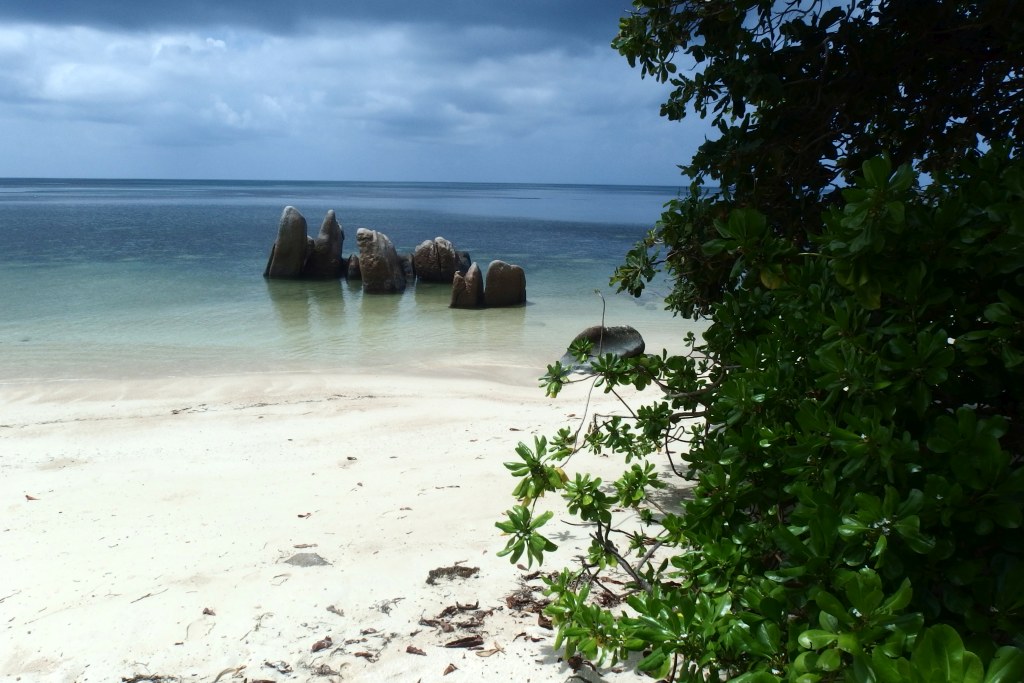 P2200683.JPG