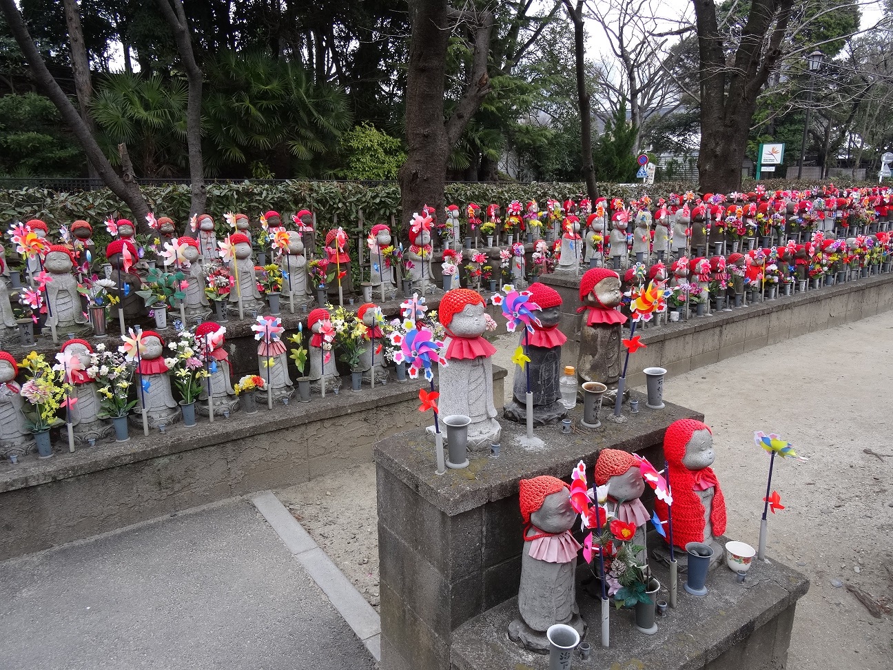DSC02868a.jpg