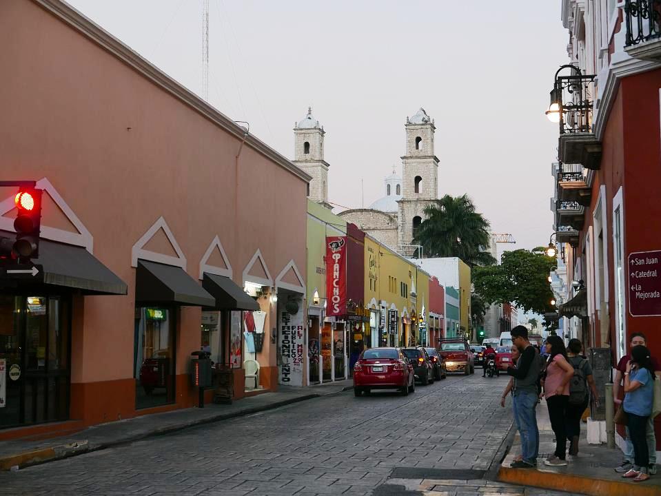 P1040194.jpg