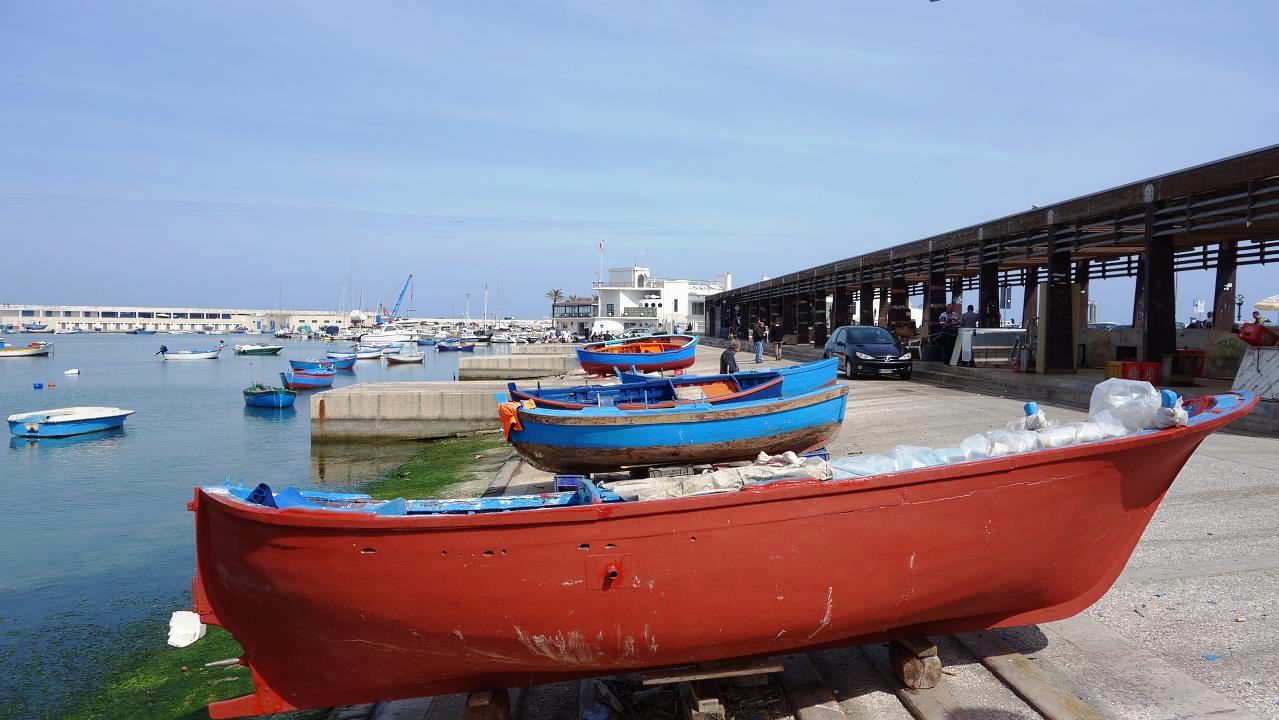 DSC05737.jpg