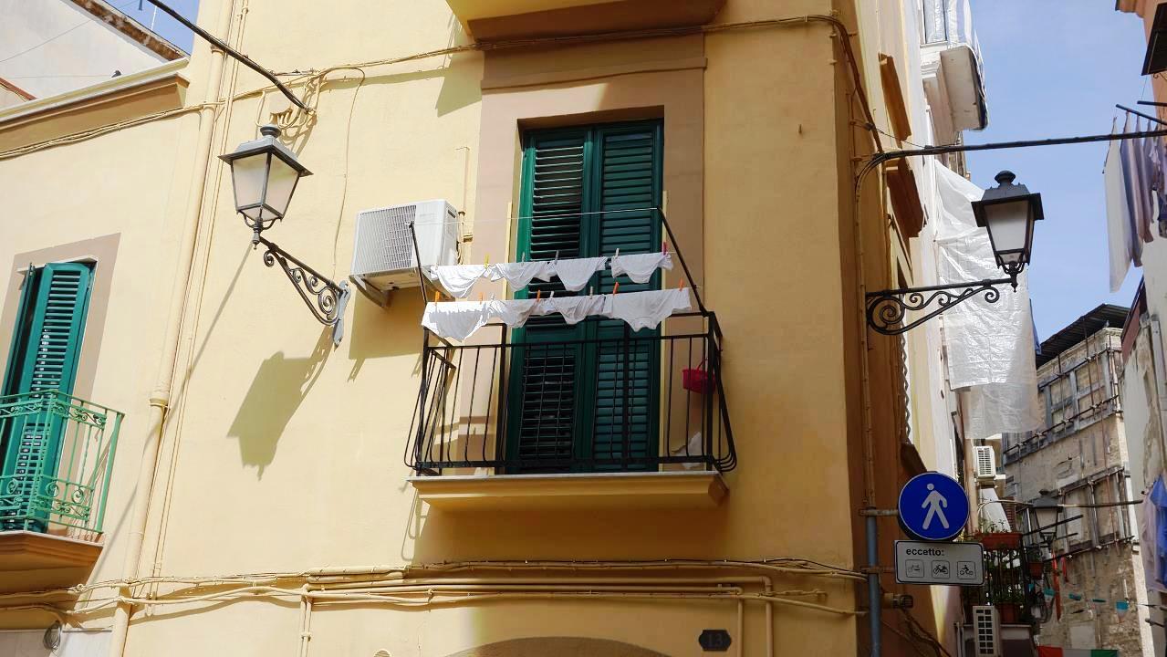 DSC05713.jpg