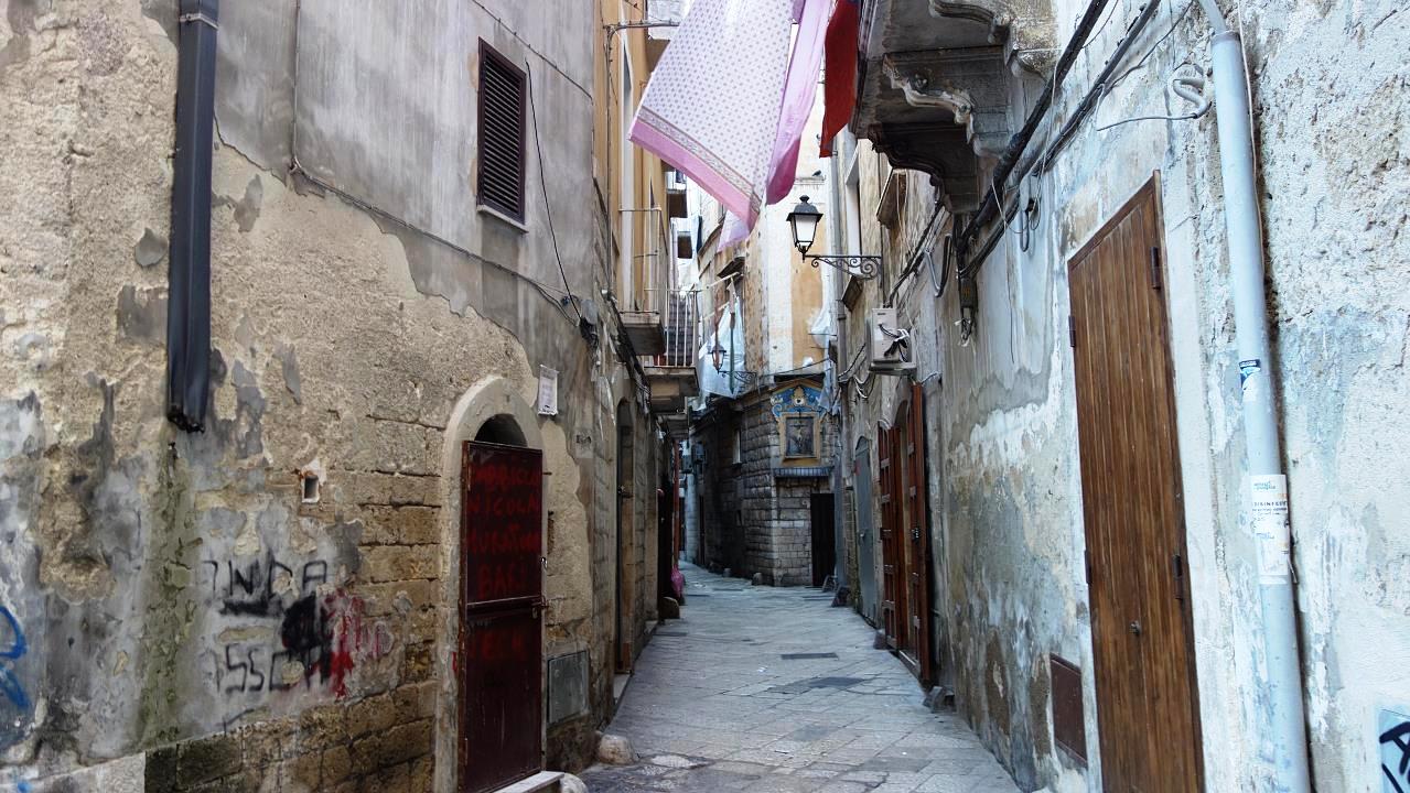 DSC06014.jpg