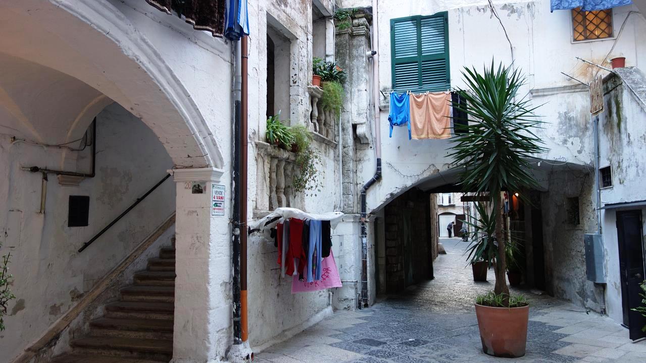 DSC06015.jpg