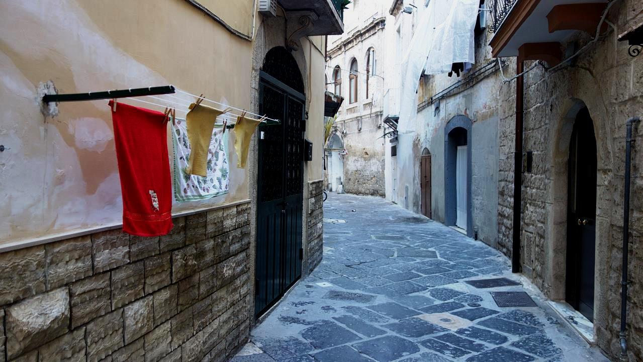 DSC06017.jpg