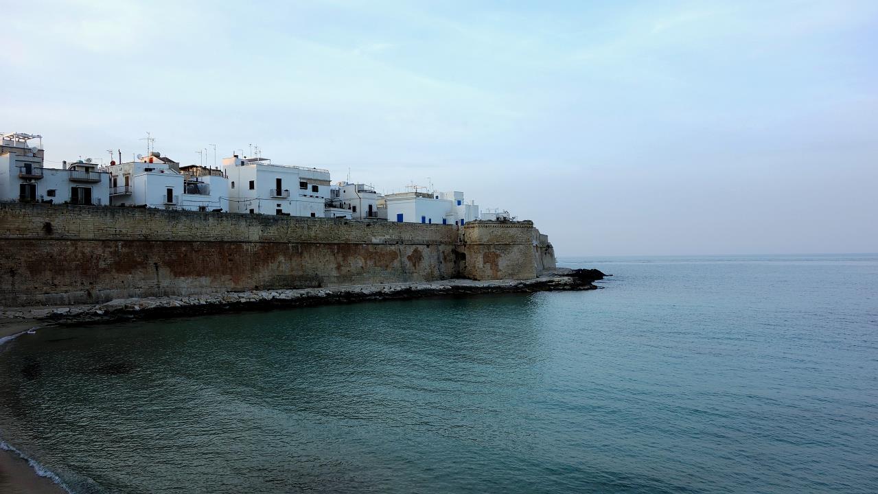 DSC05827.jpg