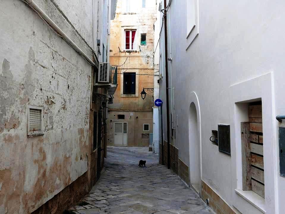 P1040777.jpg