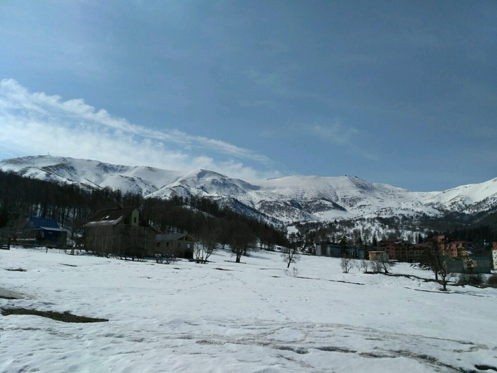 IMG_20170331_084001.jpg