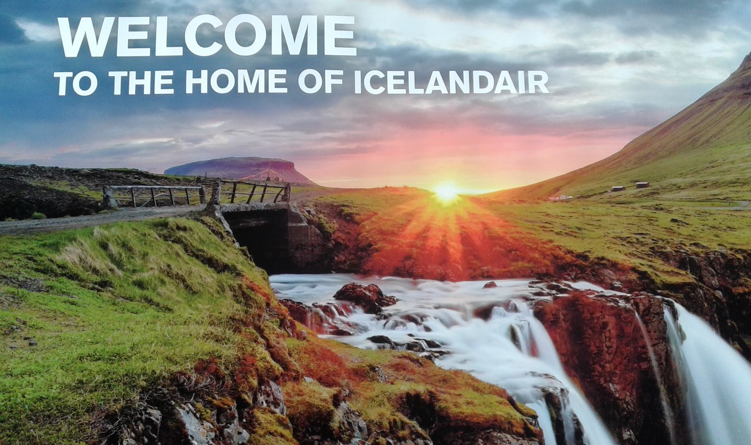 plakat.JPG