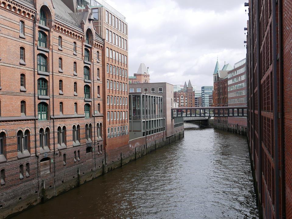 P1040933.jpg