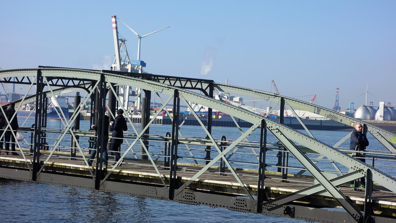 DSC06274.jpg
