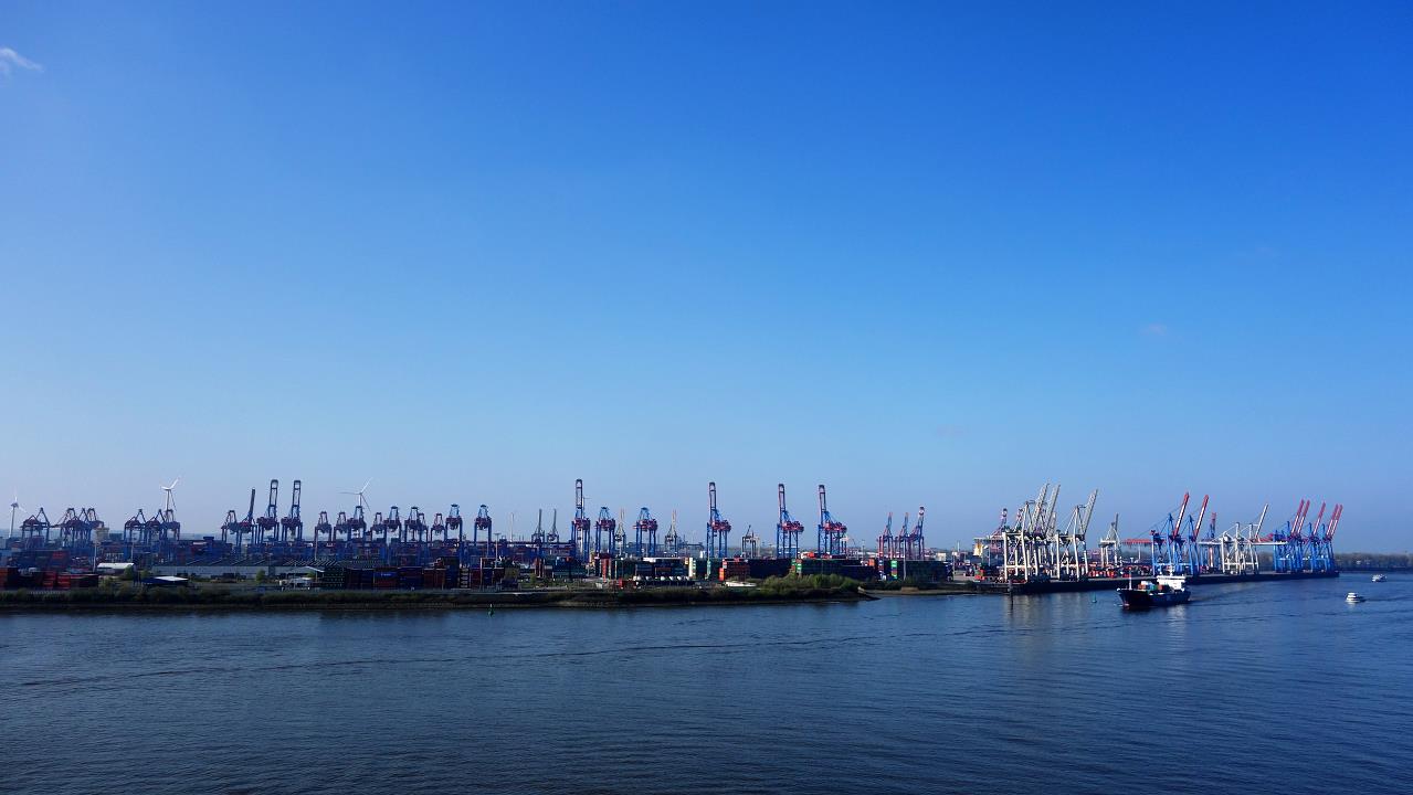 DSC06315.jpg