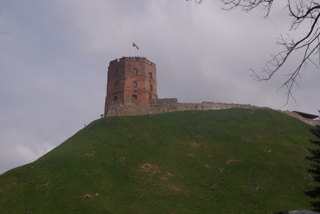 DSC08017a.jpg