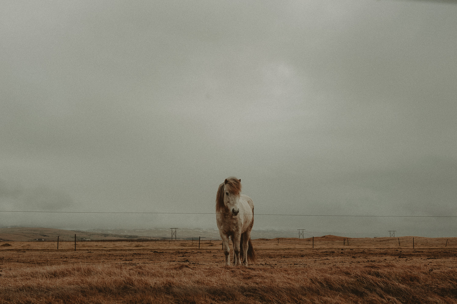 Islandia 2017-47.jpg