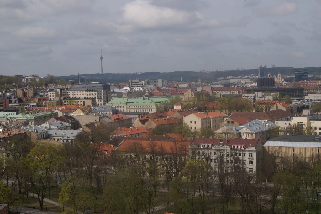 DSC08033a.jpg
