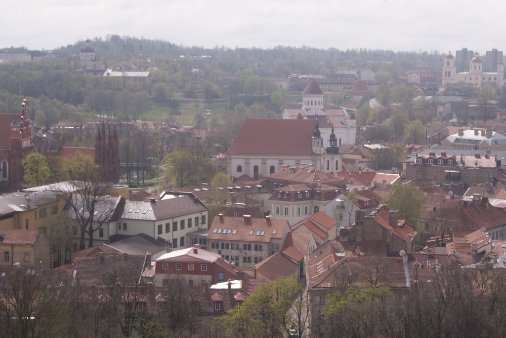 DSC08031a.jpg