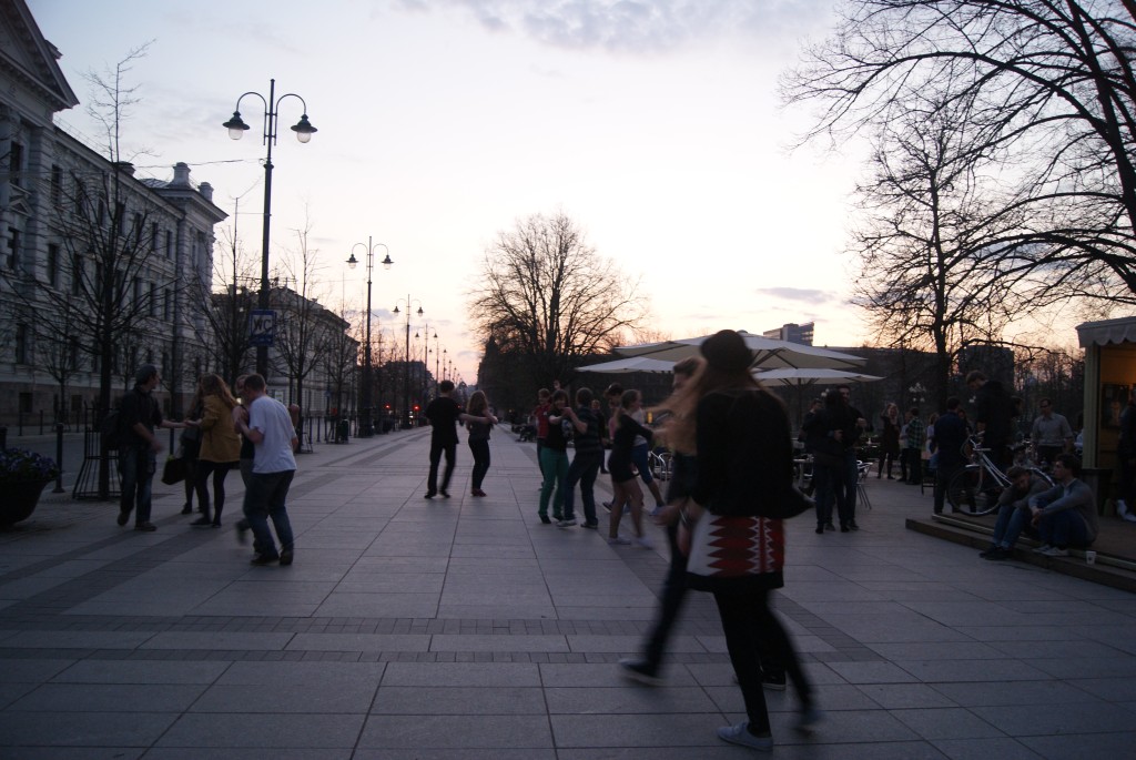 DSC08074a.jpg