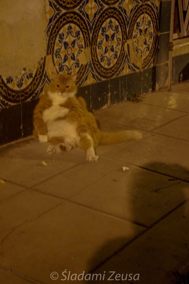 51.jpg