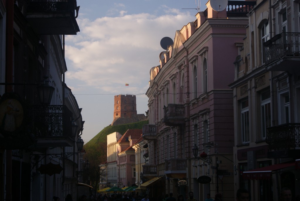 DSC08059a.jpg