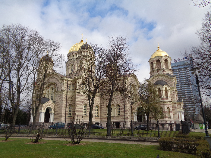 DSC00554.jpg
