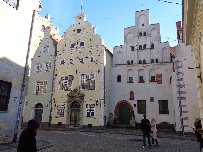 DSC00605.jpg