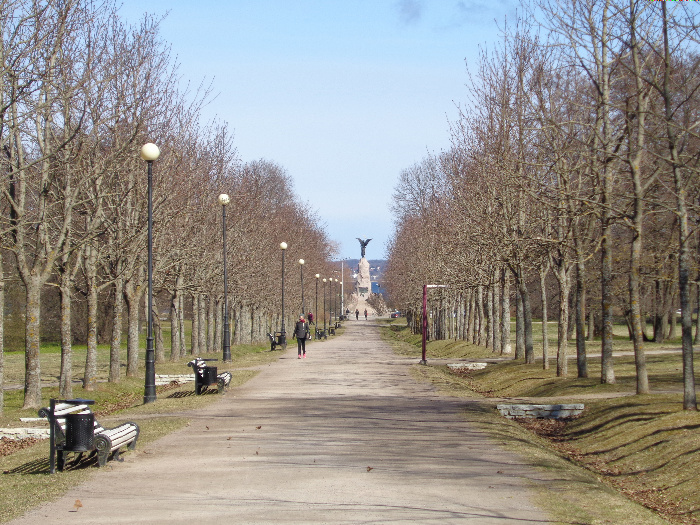 DSC00730.jpg