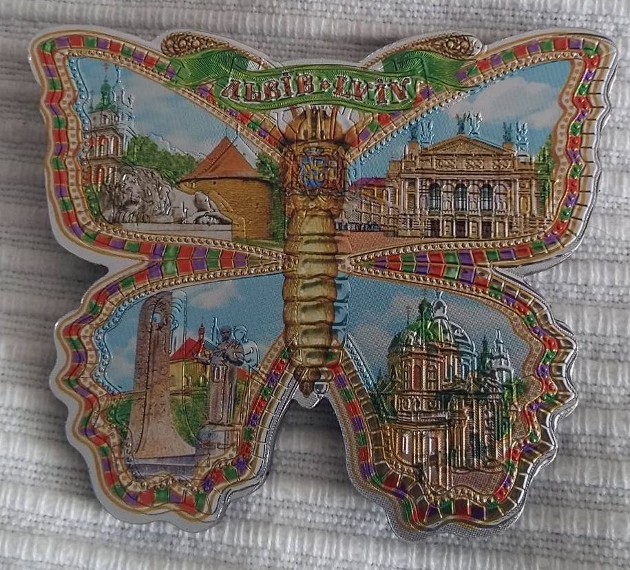 motyl.jpg