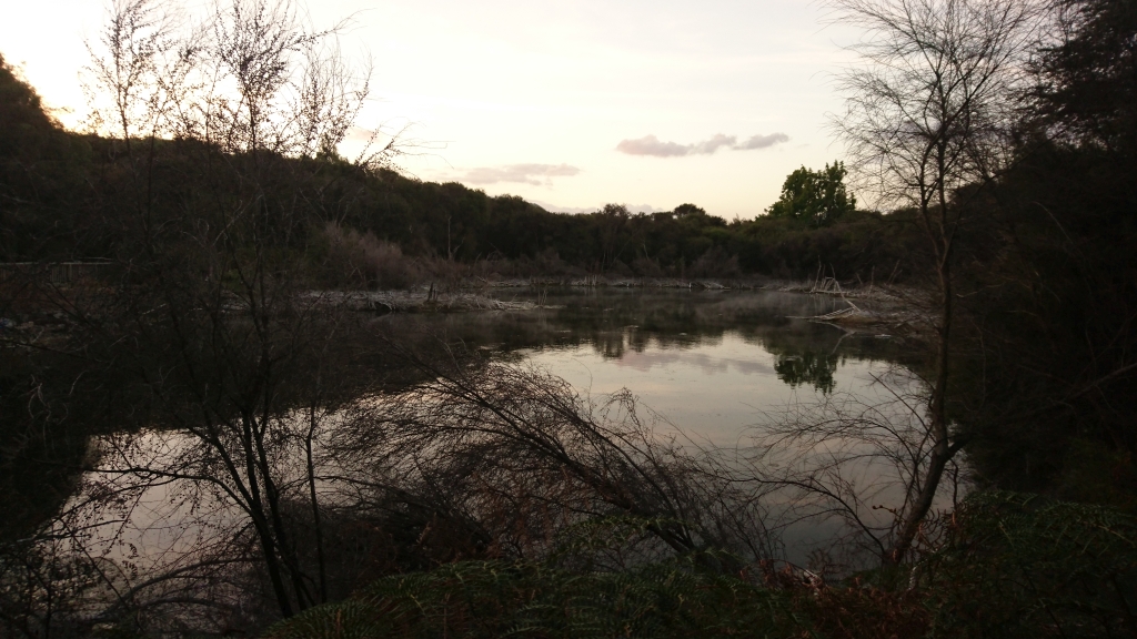 DSC_0680.JPG