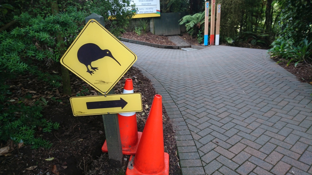 DSC_0519.JPG