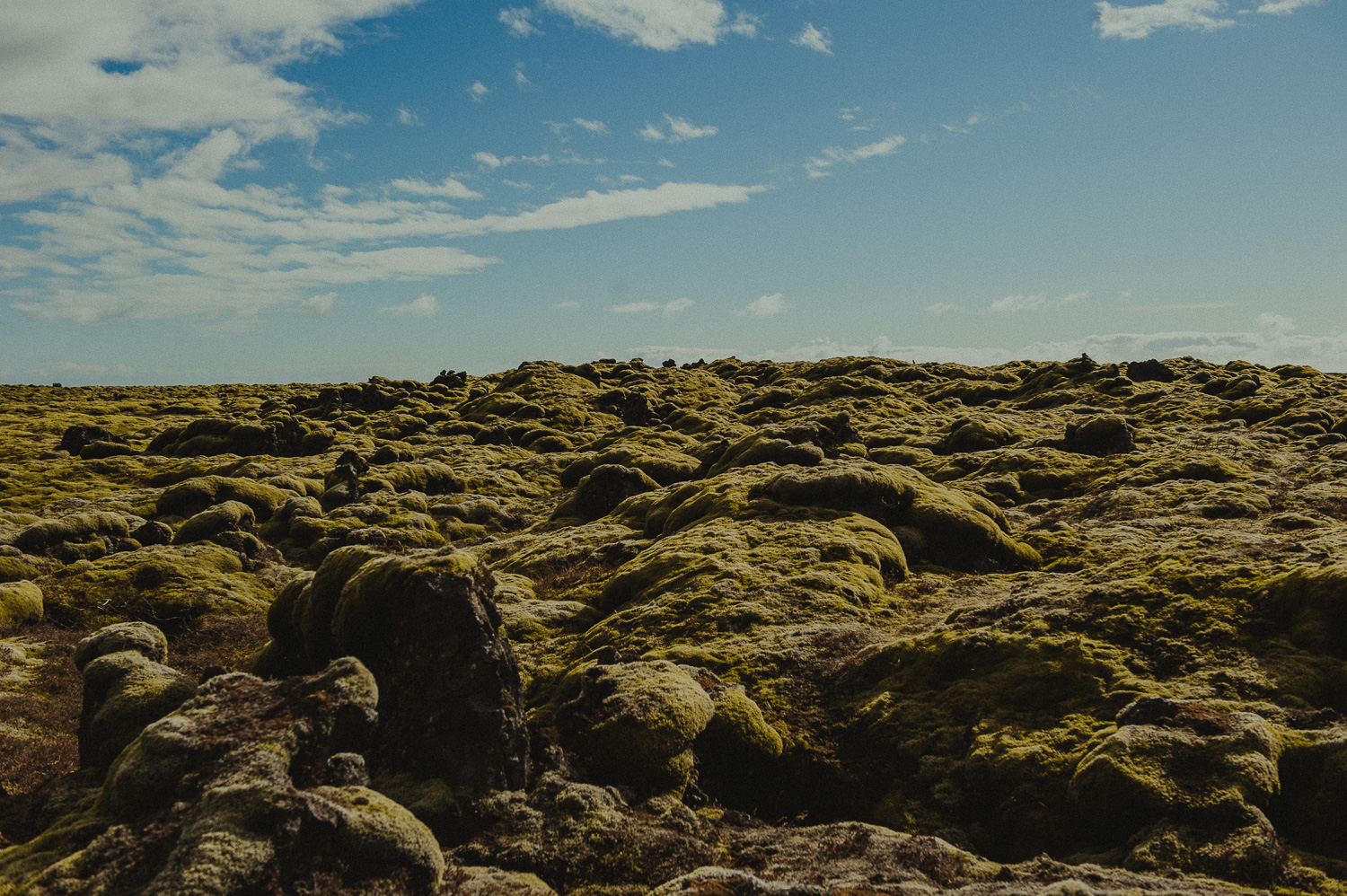 Islandia 2017-218.jpg